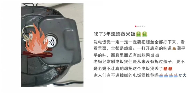 电饭煲这4个地方不洗 当心吃“蟑螂蒸饭”!