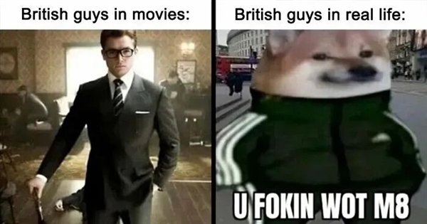 干翻马斯克！英国怎么就成比亚迪海外最大市场了呢