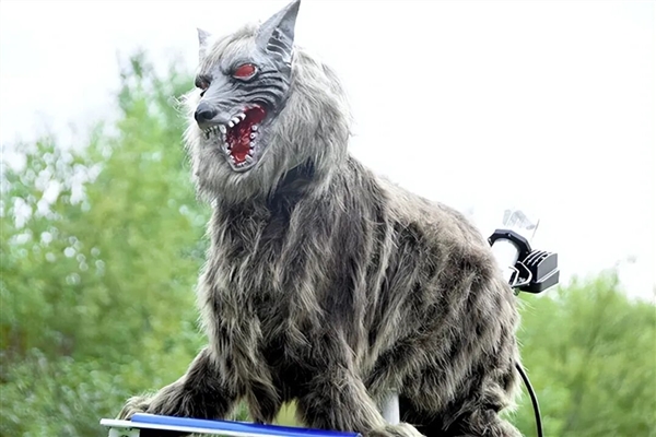 眼睛闪着红光、90分贝噪音 日本多地用“机器狼”驱赶熊