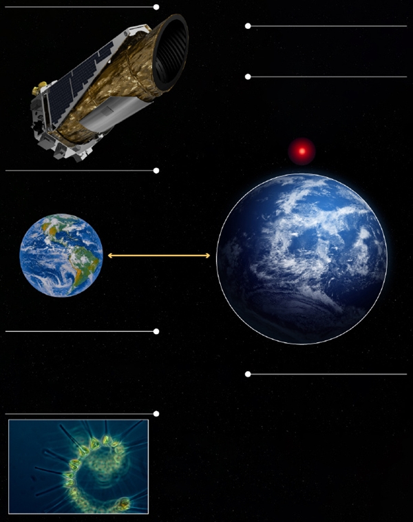 英国科学家预测:50年内将发现外星生命