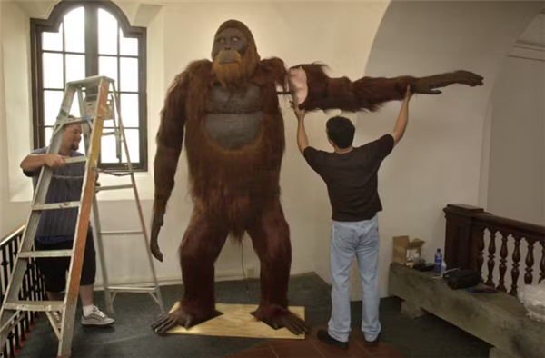 中国远古巨猿 身高3米史上最大灵长类动物 为何20万年前突然灭绝？