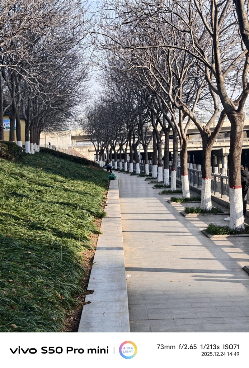 稳步迭代，全面超越：vivo S50 Pro mini 评测：小直屏旗舰的进化标杆