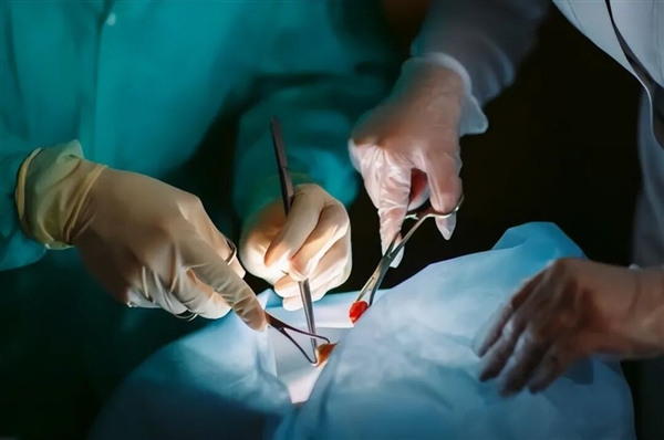 丈夫急需换肝救命 妻子“恐针”为由拒捐！双方对簿公堂