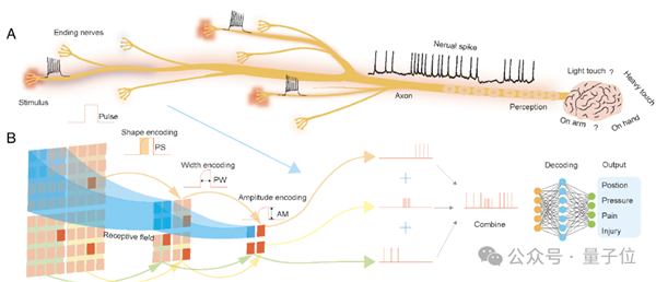 温柔点儿 机器人也怕疼了！电子皮肤主动痛觉+损伤自检双buff拉满