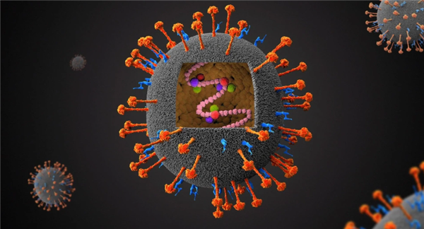 死亡率最高75% 印度暴发尼帕病毒疫情!会像新冠那样蔓延吗
