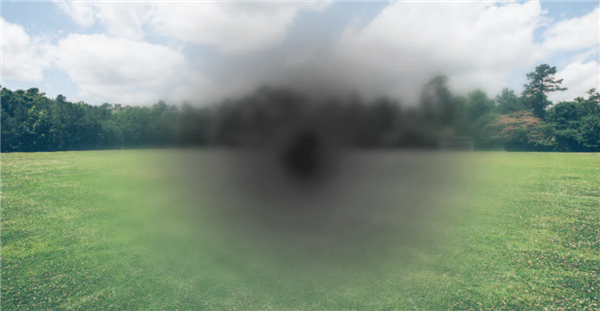 为什么我们平时看不到自己的鼻子