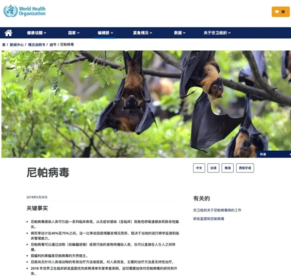 印度这致死率75%的尼帕病毒 真的会成为下一个新冠吗