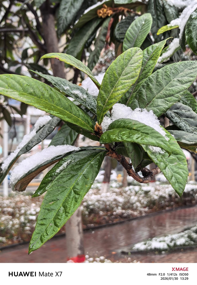 左手 AI右手大屏!华为Mate X7典藏版体验评测:鸿蒙OS 6.0加持 不仅是折叠更是掌上工作站