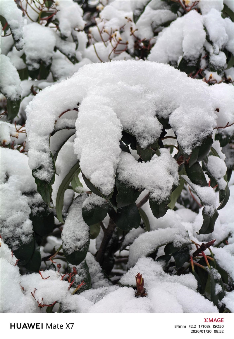 左手 AI右手大屏!华为Mate X7典藏版体验评测:鸿蒙OS 6.0加持 不仅是折叠更是掌上工作站