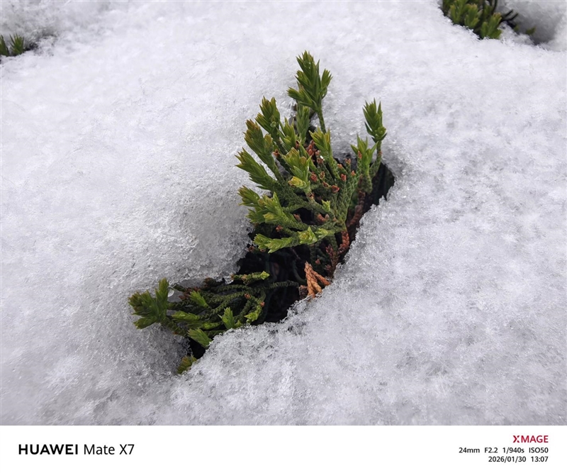 左手 AI右手大屏!华为Mate X7典藏版体验评测:鸿蒙OS 6.0加持 不仅是折叠更是掌上工作站