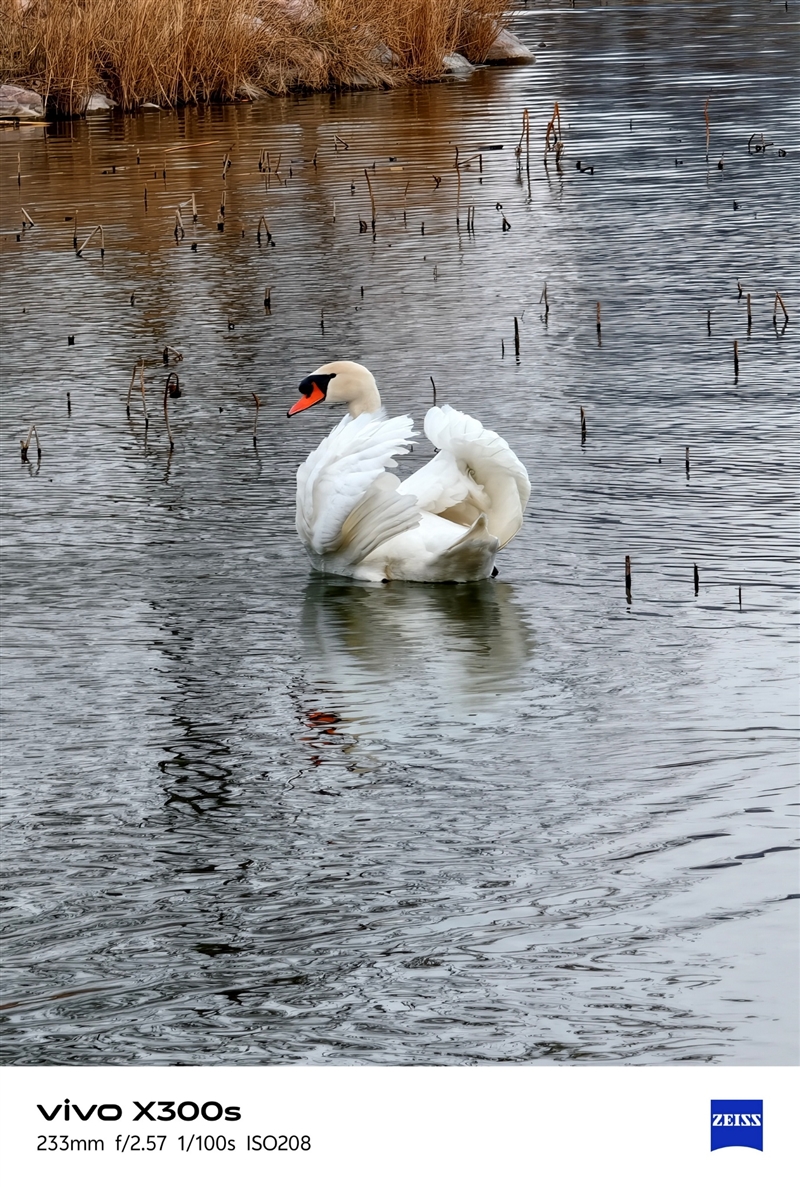 天玑9500搭配蔡司影像 vivo X300s手机全面评测：省心耐用的直屏主力机