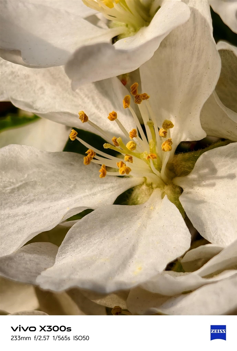 天玑9500搭配蔡司影像 vivo X300s手机全面评测：省心耐用的直屏主力机