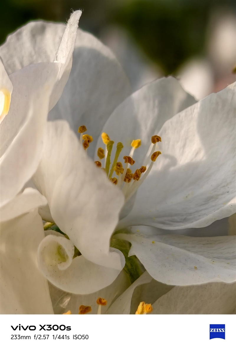 天玑9500搭配蔡司影像 vivo X300s手机全面评测：省心耐用的直屏主力机