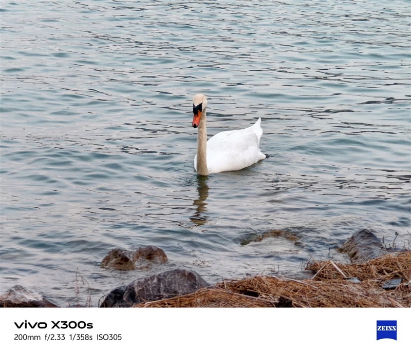 天玑9500搭配蔡司影像 vivo X300s手机全面评测：省心耐用的直屏主力机