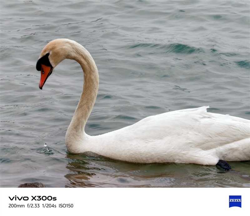 天玑9500搭配蔡司影像 vivo X300s手机全面评测：省心耐用的直屏主力机