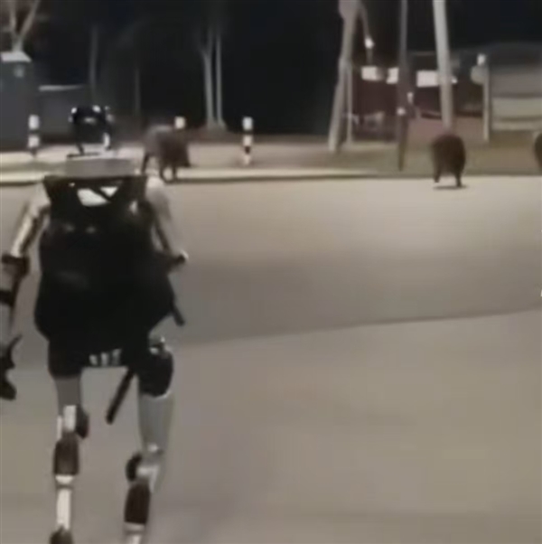 国产机器人波兰街头显身手!宇树机器人成功吓退3头野猪