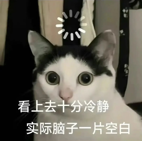 以后的年轻人 可能不需要尊重电脑了