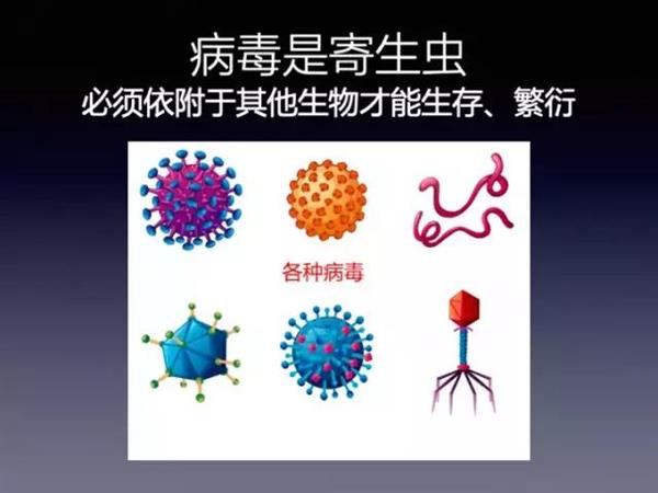 知己知彼：关于病毒 这些秘密你必须知道