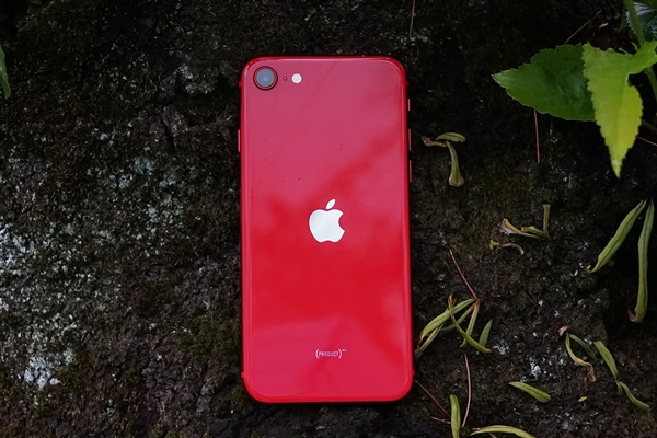 iPhone SE 5G可能推迟：所用LCD屏刚刚开始生产