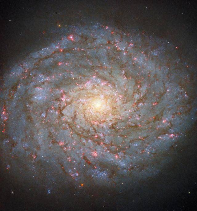 哈勃太空望远镜拍摄到散发着宝石光泽的螺旋星系NGC 4689 