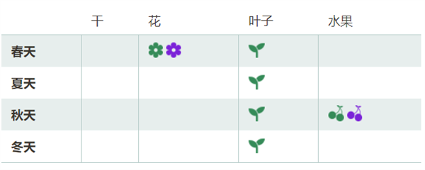 八月瓜上市!通便、维生素C含量高:很多人可能第一次见