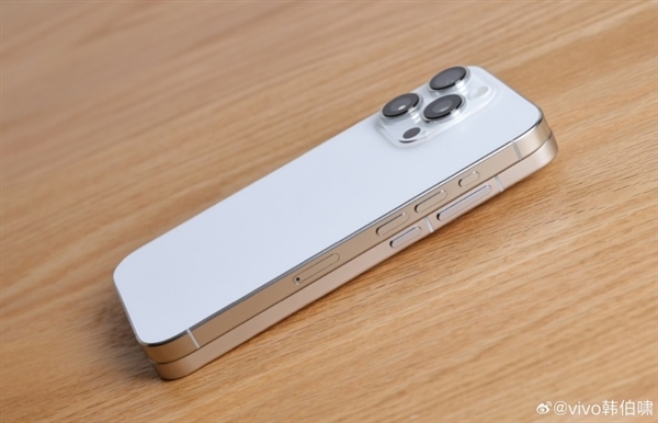 小尺寸满配旗舰!vivo X200 Pro mini外观正式公布:直边+直屏