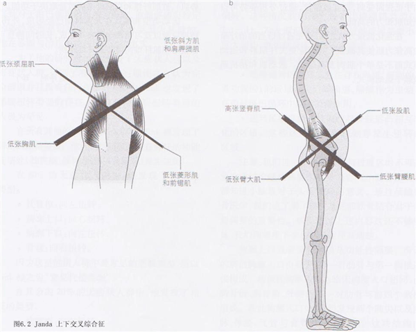 比散步还简单的靠墙站！每天只需10分钟 就能改善体态、缓解肩颈痛