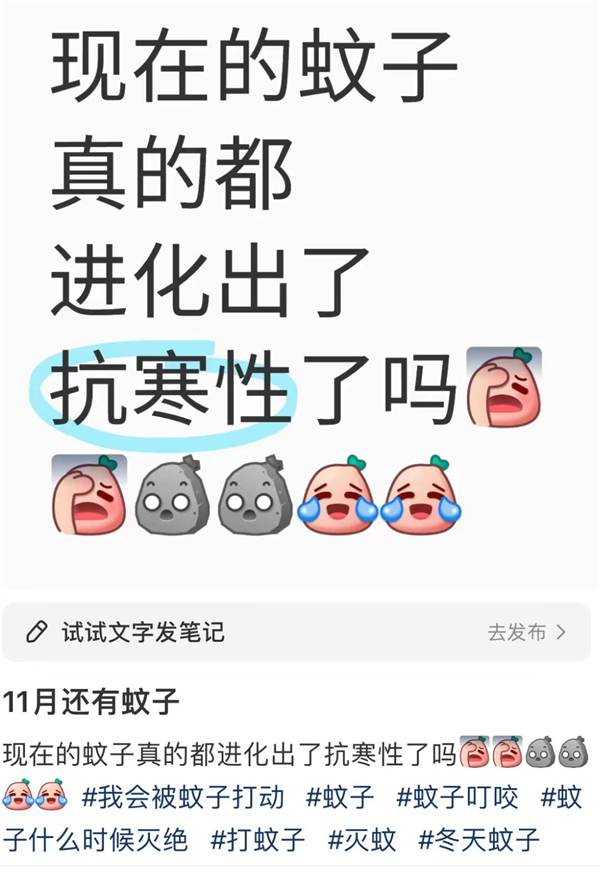 都冬天了!为什么最近还这么多蚊子