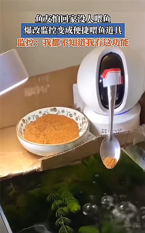 网友神操作:用监控摄像头和勺子变身远程喂鱼神器