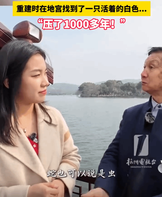 雷峰塔下真的有压了千年的白色虫子:发现时还活着