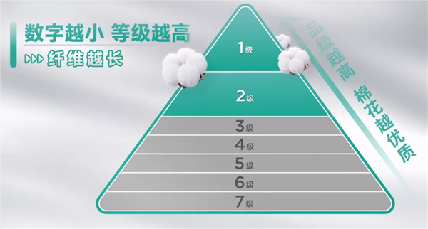 央视315曝光肮脏的一次性内裤:3个动作教你避坑