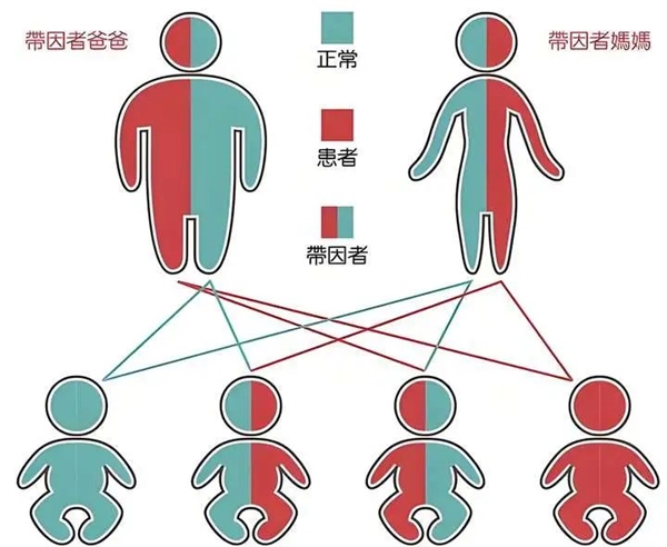 为啥动物那么多乱伦：近亲繁殖没影响吗