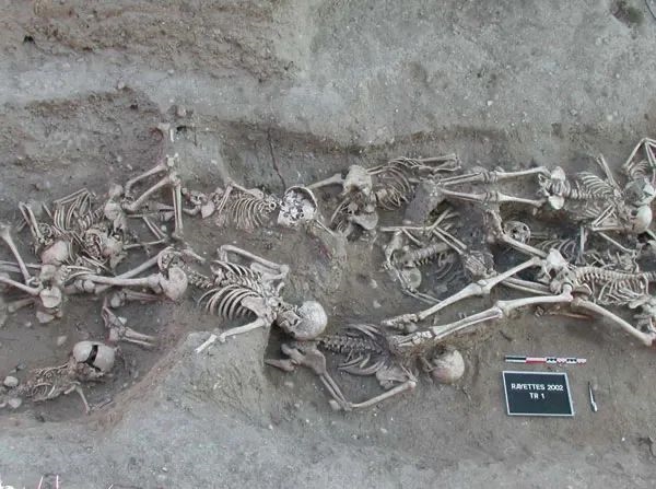 肆虐1500多年 曾杀死一半欧洲人!它靠改变一个基因 操纵人类命运