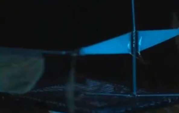 新突破!我国成功研发蚊子大小仿生机器人
