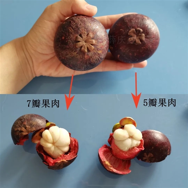 一种好吃、营养价值一般 热量还很高!但很贵的水果