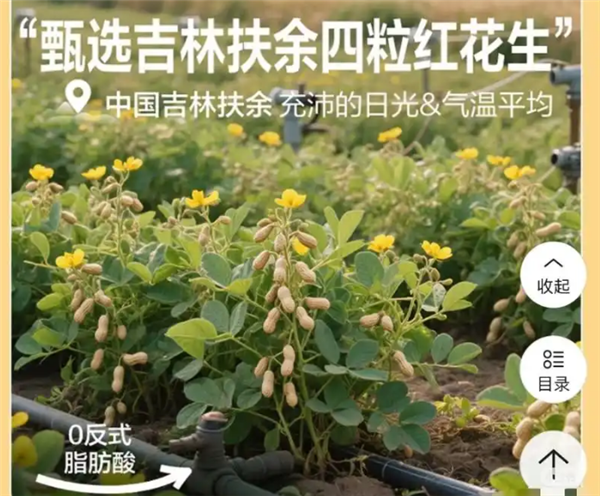 良品铺子就“花生上树”致歉:系错误使用AI生成图片